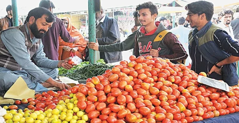 Tomato Rate in delhi